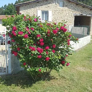 Au Cœur De La Nature Appartement Bren